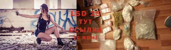 гидра Болохово