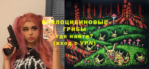 2c-b Болотное