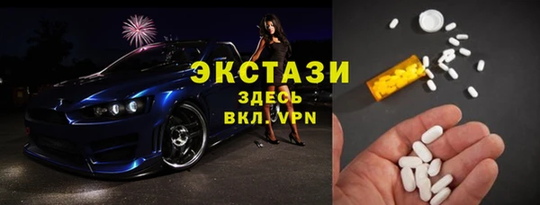 СК Алексин