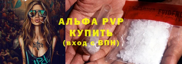 СК Алексин