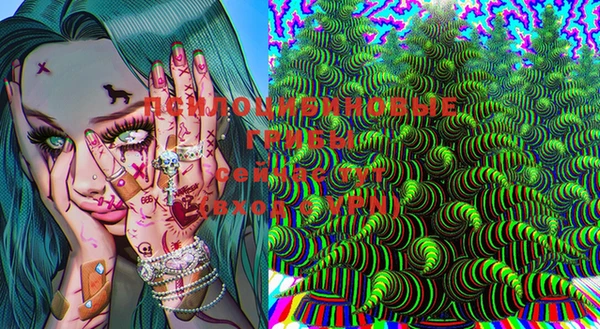 мяу мяу мука Алексеевка